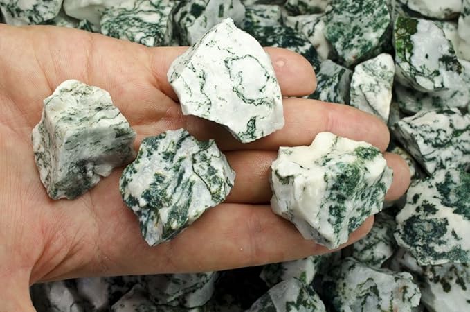 Fantasia Materials: 18 lbs Tree Agate Rough Stones from India