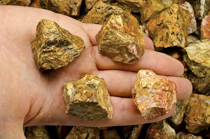 Fantasia Materials: 5 lbs Landscape Jasper Rough Stones from India
