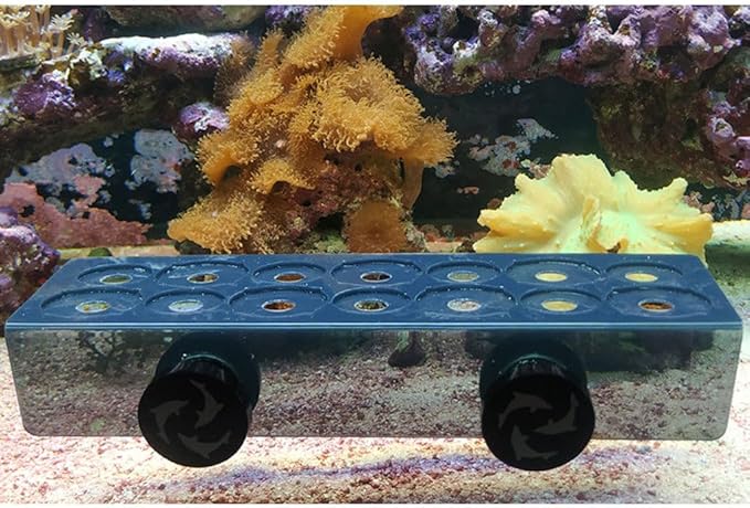 Flipper Magnetic Frag Station Aquarium Rack with Removeable Shelf for Aquatic Coral Reefs - Holds 14 Frags - Blue