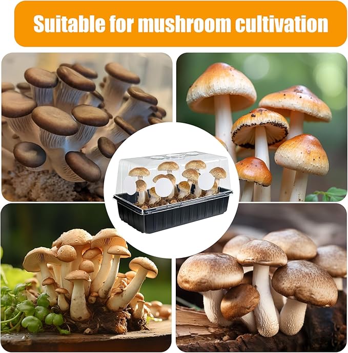 12PCS 2.5in Monotub Adhesive Filter Disks, Mushroom Monotub Filter Discs, Mushroom Filter, Filter Patch for Monotub, for Mushroom Growing Supplies Filter Pad Replacements.(2mm Thick) (30PCS)