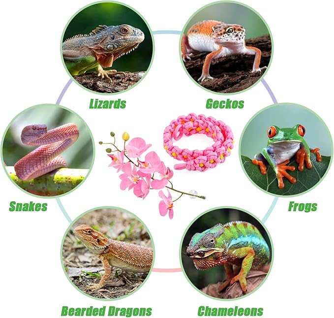Amphibian Vines Plants,Amphibian Hanging Plants, Terrarium Plants Gecko Tank Accessories with Suction Cups Plants Terrarium Decor for Hermit Crab Lizards Geckos Snake