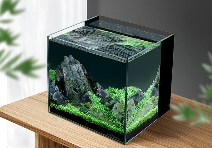 LANDEN 35C 7.2 Gallon Ultra Clear All Glass Rimless Low Iron Aquarium Tank with Rear Filtration Chamber(Pump Included) for Salt and Fresh Water.13.8''Wx13.8''Dx13.8''H 35cm Cube in 6mm Thickness