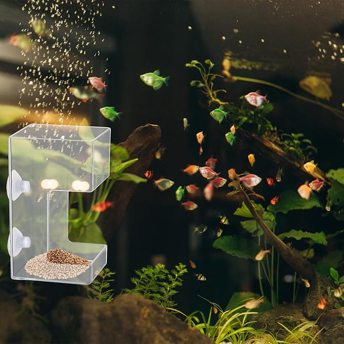 Fish Tank Feeding Tray Fish Tank Feeder Tray Aquarium Feeding Dish with Suction Cup 3.9x2.4 Inch Feeding-Tube Ring Container Holder Dispenser for Shrimp Turtle
