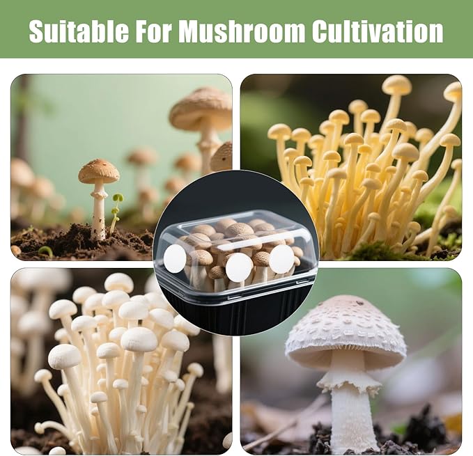 TINSKY 24 Pcs 2.5" Monotub Adhesive Filter Disks-3MM Thick Monotub Filter Discs-Monotub Filters for Mushroom Growing Supplies Filter Pad Replacements