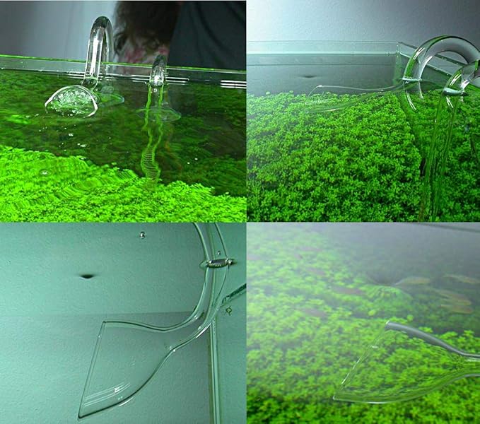 FZONE Aquatic Glass Lily Pipe Outflow with Suctions for Aquarium Plant and Marine Filter 1/2''(12/16mm) Tubing