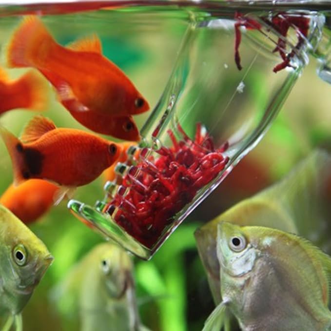 Acrylic Snail Trap for Aquariums Suction Cup Clear Snail Catcher Multifunctional Blood Worm Feeders Planaria Trap