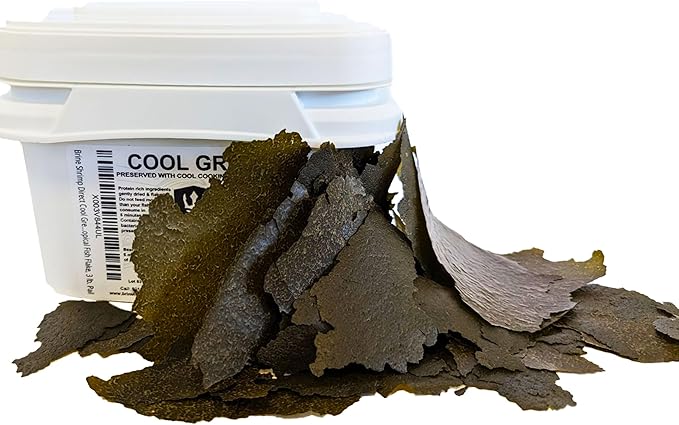 Brine Shrimp Direct Cool Green Spirulina and Kelp Tropical Fish Flake, 3 lb. Pail