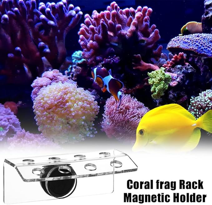 MiOYOOW Coral Frag Holder, 4/8 Plug Holes Acrylic Coral Frag Rack with Magnetic Suction Cup for Aquarium Household Fish Tanks