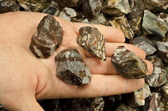 Fantasia Materials: 18 lbs Panther Jasper Rough Stones from India
