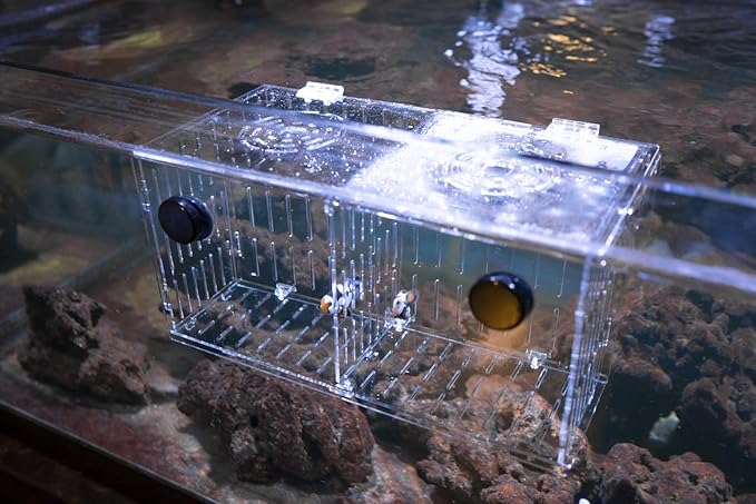 Magnetic Acclimation Box fish Breeder Nursery isolation Tank