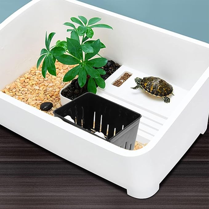 Betta Fish Tank 1 Set of Aquarium Fish Box Hatching Incubator Box Nursery Aquarium Spawning Incubator for Tank Black