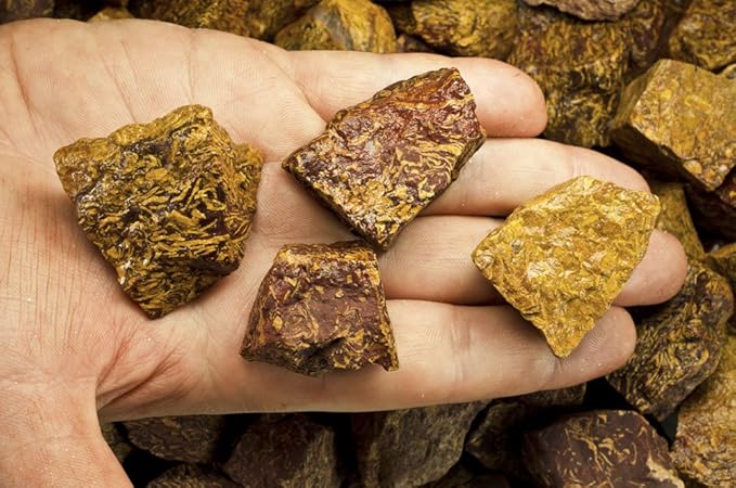 Fantasia Materials: 18 lbs Script Jasper Rough Stones from India