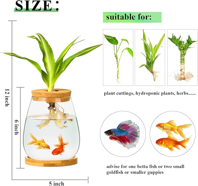 Desktop Fish Bowl Clear Glass Small Fish Tank with Wood Lid and Bamboo Stand for Betta Fish Plants Terrarium Home Office Decoration Gifts