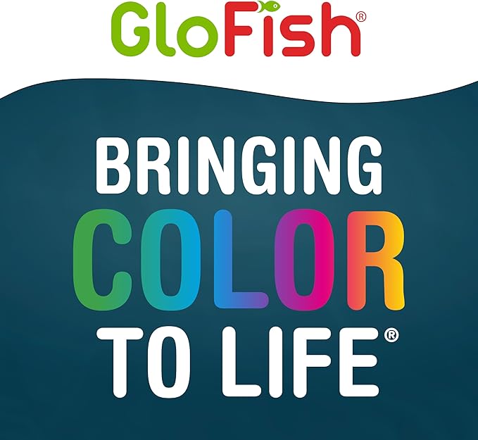 GloFish Glass Aquarium Kit, 20 Gallons, Includes Premium Blue, LED Light Stick & Integrated Filtration, Perfect for Beginners or Seasoned Hobbyists, Seamless, Curved Design