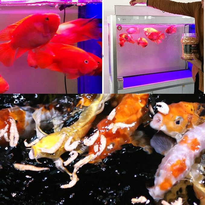 1200ml Turtle Food Freeze Dried Krill Aquarium Pond Fish Food Floating Shrimp Carnivore Koi Tropical Cichlid Turtle Feed(1200ml)