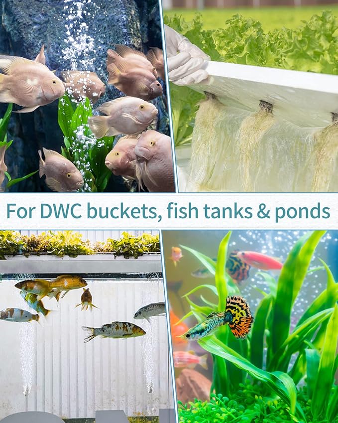 Pawfly Aquarium Air Stone Bubbler 2 Inch Cylindrical Bubble Release Tool Oxygen Diffuser for Air Pump Fish Tank Bucket Small Pond and DWC Reservoir, 10 Pack