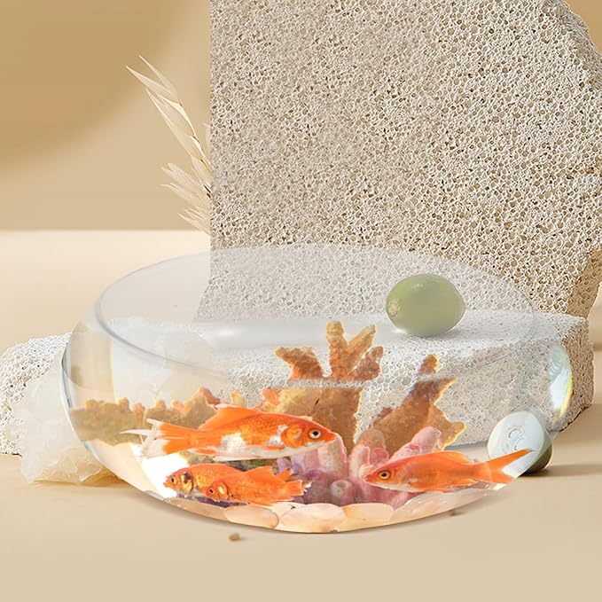 Large Glass Fish Bowl 9.84 Inch Transparent Desktop Aquarium for Goldfish, Hydroponic Plant Pot, Shallow Fish Tank for Home Decor
