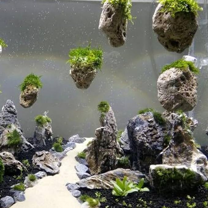 3Pcs Floating Real Rocks Aquarium Water Plant Fish Tank Aquatic Landscape