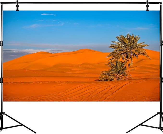 Desert Reptile Tank Background Majestic Sunset Desert Landscape Terrarium Background Desert Palm Tree Sand Dunes Reptile Habitat Background Sunrise Sahara Desert Aquarium Fish Tank Background 36x20in