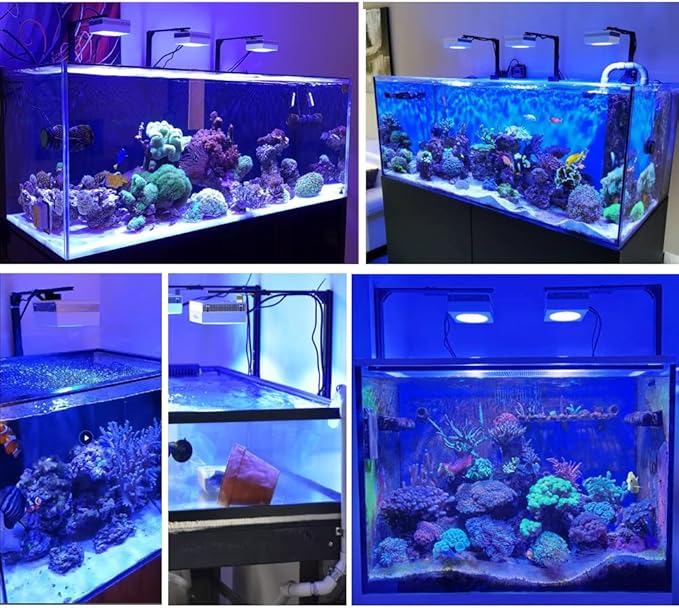 PopBloom RL90 Aquarium LED Reef Light 100W, Smart-APP Control Full Spectrum Marine LED for Saltwater Coral Fish Tanks (Universal Mounting Arm)