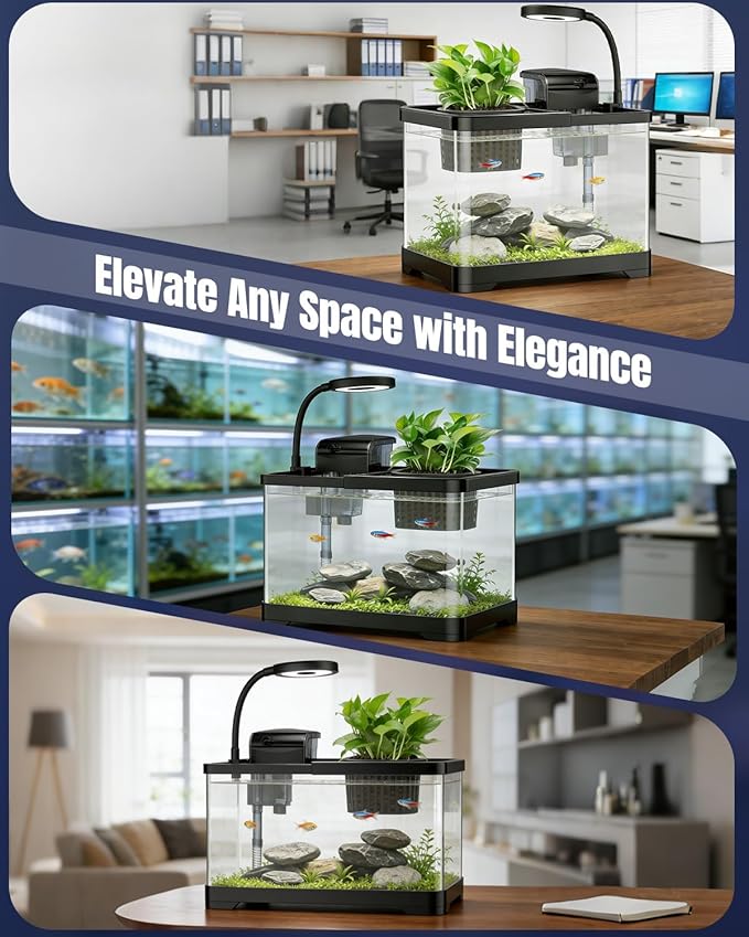 Pawfly 2 Gallon Fish Tank, Small Aquarium Kit, Betta Fish Tank Starter Kit with 6 W LED Light, 65 GPH Filter, Siphon Vacuum Water Changer & Basket, Aquarium for Betta, Shrim, or Small Fishes