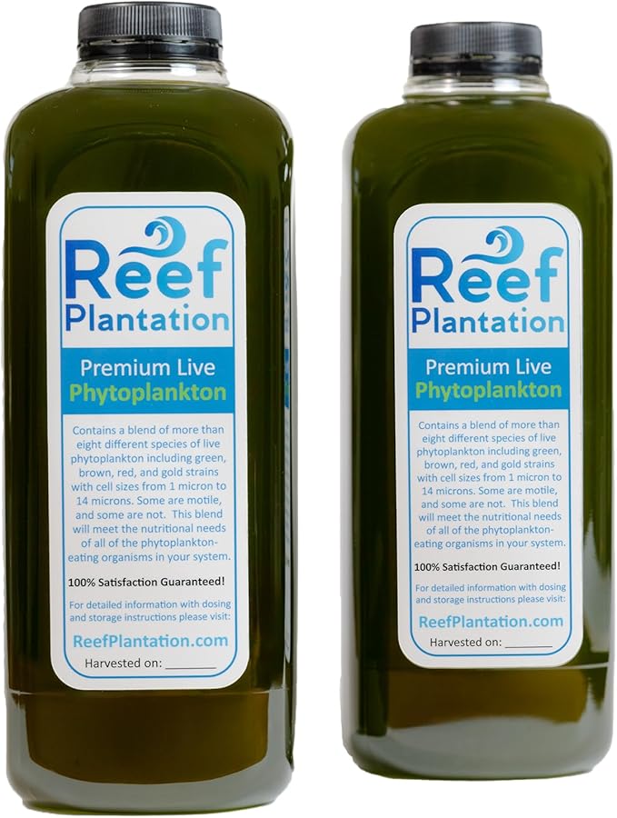64oz (2 Quarts, 1/2 Gallon) Premium Live Phytoplankton Blend - Food for Corals & Copepods in Reef/Saltwater Aquariums - Over Eight Different Strains of Live Phytoplankton