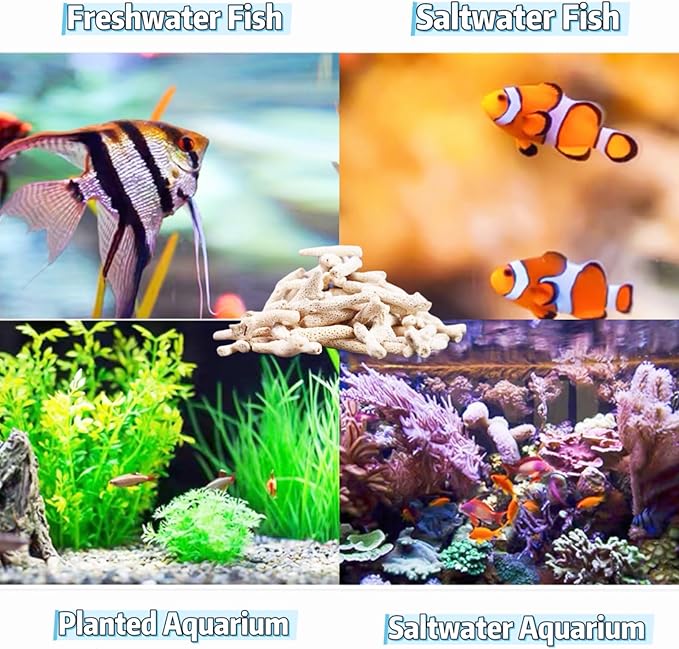 Crushed Coral for Aquarium Filter Media - Pre-Filled Reusable Media Bag - Natural pH Buffer for Freshwater & Saltwater Fish Tanks