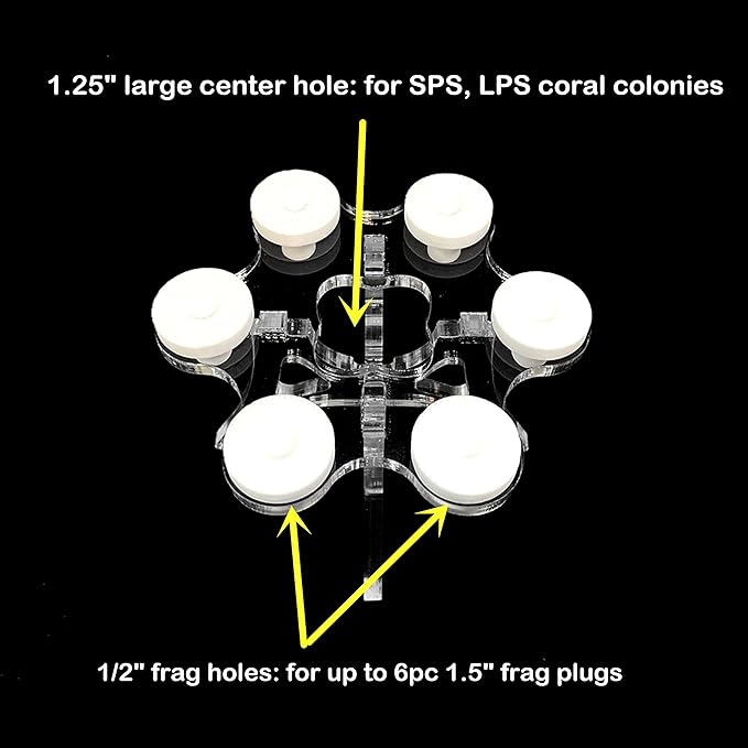 Coral Frag Rack Colony Holder Bottom Sand Bed Frag Plug Holder (Set of One)