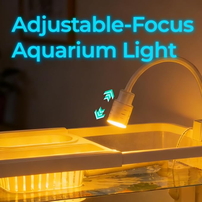 4 Gallon Fish Tank Aquarium Starter Kit with Filter and Light, All in One Small Fish Tank for Betta, Kids & Desktop Use, Self Cleaning Nano Aquarium with Lid(Medium White)