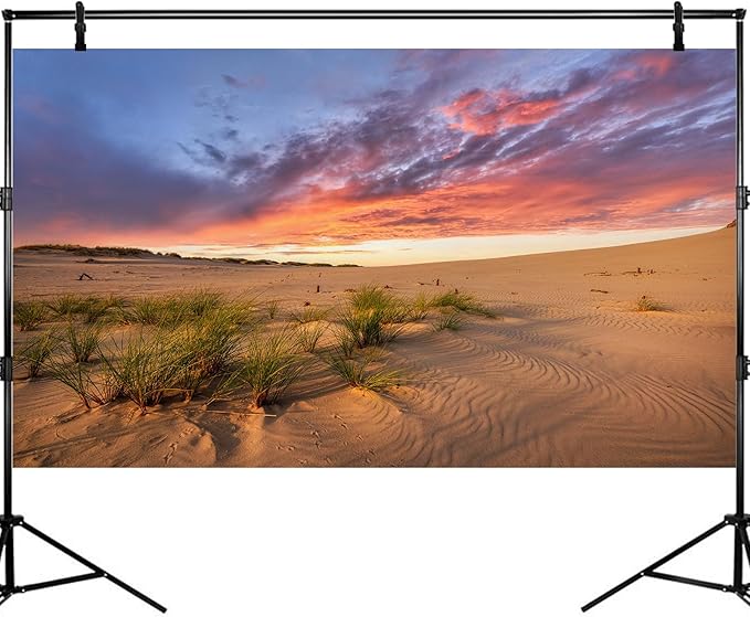 Sunset Desert Reptile Tank Background Majestic Desert Landscape Terrarium Background Desert Sand Dunes Reptile Habitat Background Sunrise Gobi Barren Thorns Aquarium Fish Tank Background 30x18in