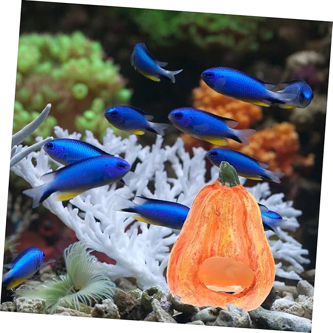 LIOOBO 2pcs Fish and Shrimp Hideout House Fish Tank Cave Lovely Cave Aquarium Halloween Decorations Betta Toys Shrimp Aquarium Supply Glass Decor Resin Hollow Breeding Tank