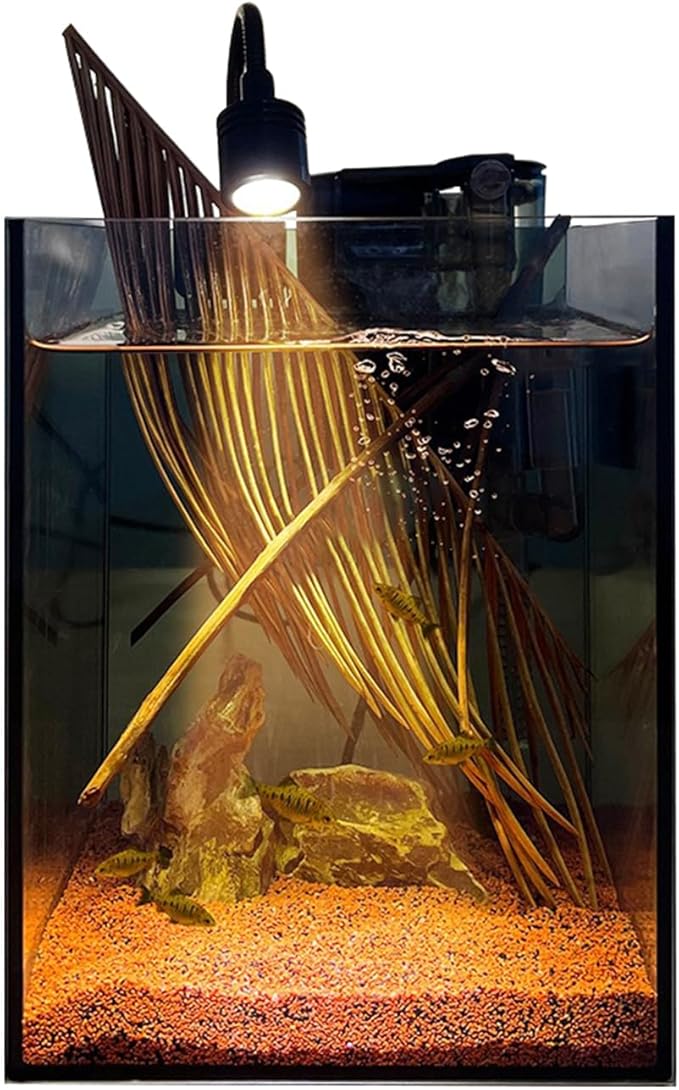 Betta Fish Tank kit,Small Nano Glass Fish Tank Start Kit with Filter,LED Light for Shrimp,Small Fish,Betta (1.5 Gallon)