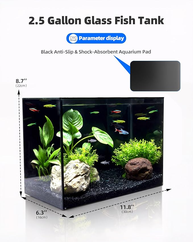 2.5 Gallon Clear Glass Fish Tank, Small Fish Tank Aquarium for Betta, Goldfish, Snail,Shrimp and Aquatic Planting