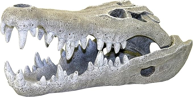 Exotic Environments Nile Crocodile Skull Aquarium Ornament, Small, 3-Inch by 6-Inch by 2-1/2-Inch