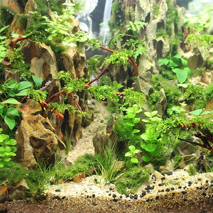 1.1lb Natural Decorative Real Aquarium Sand, Aquarium Landscaping Decorative Gravel Rock, Decoration Ornament for Aquarium Fish Turtle Tank