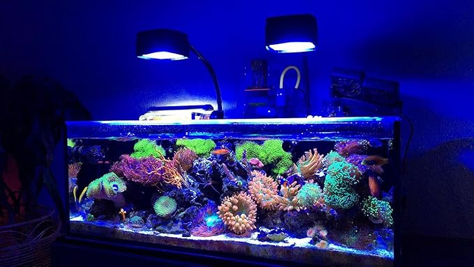 Ai Prime 16 HD Reef Aquarium Led Light Shade and Diffuser