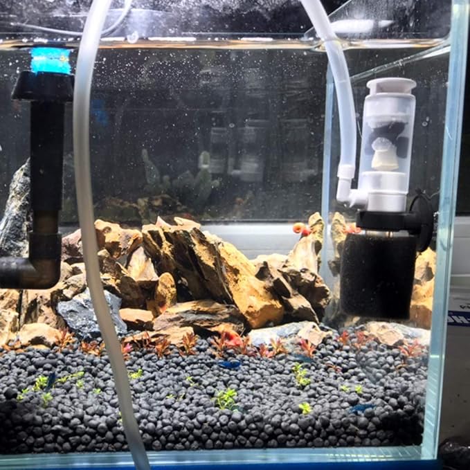 Aquariums Small Filter Quiet Air Driven with Tube Including Suction Cup and Sponge for Shrimp Tanks Aquariums Heater Light Thermometers Plant Sand Decorations Fish Decorations Light Fish