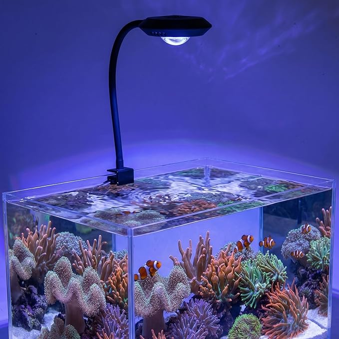 hygger 20W Nano Saltwater Light for 5-15 Gallon Tanks, Dimmable Reef LED with 24/7 Auto Cycle, 3 Modes & Timer for Soft Corals