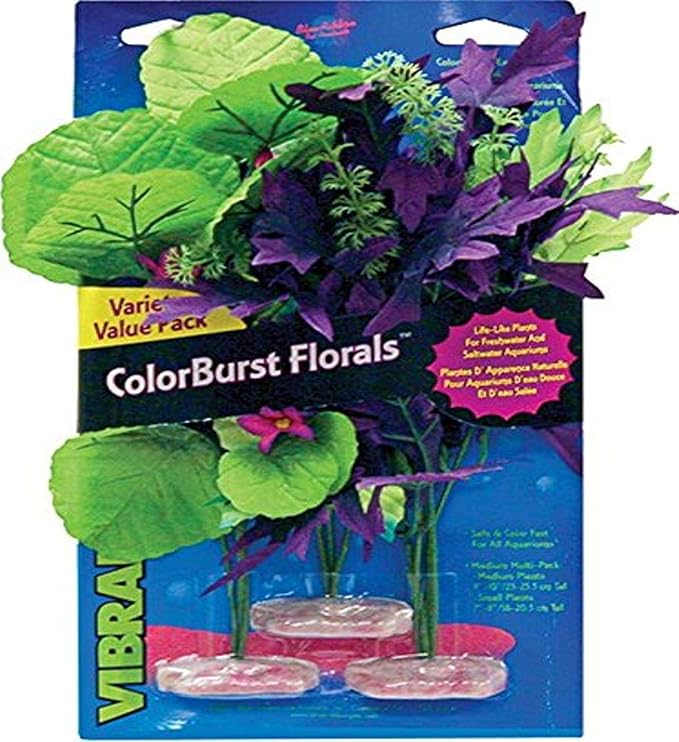 Vibran-Sea Amazon Flowering Cluster Aquarium Plant Assortment