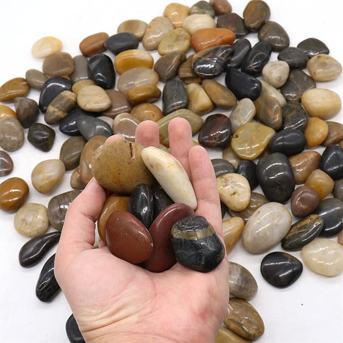 Rocks for Plants. Mixed Colors Decorative Polished Pebbles. 1 to 2 Inch – 10 lbs for Plants, Garden, Landscaping, Succulents, pots (MD (1 to 2 Inch), Mixed Color - Polished, 10)