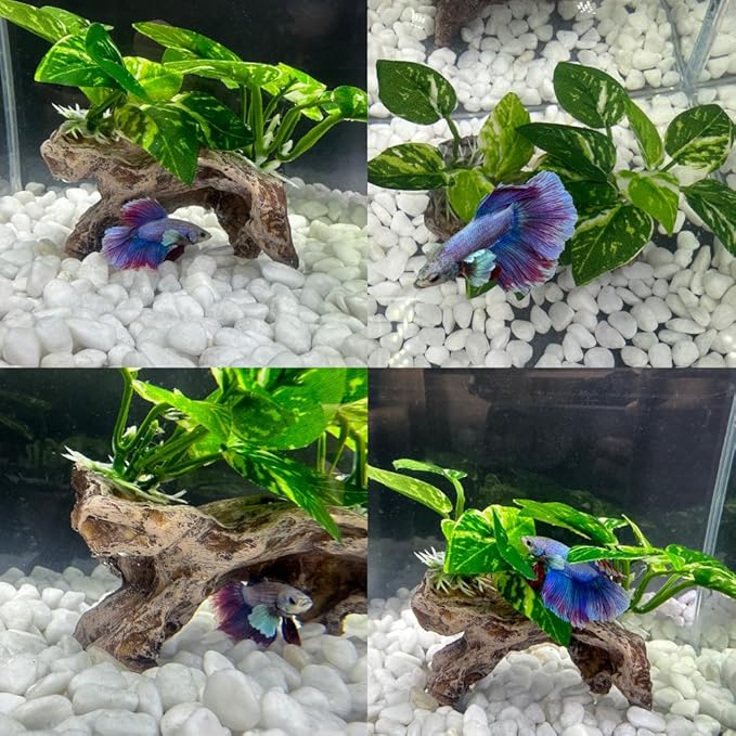 Fish Tank Decorations Aquarium Decor Ornaments Betta Silk Leaf pad Hammock Artifical Driftwood cave Goldfish Bowl Accessories (Type-C)