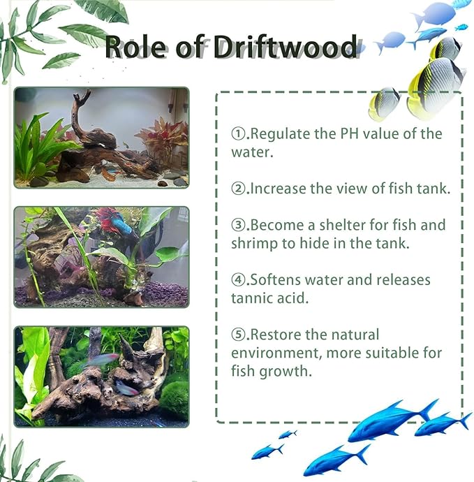 Tfwadmx Aquarium Natural Driftwood Decor Wood Branches, 2 Pieces 8.5-12" Fish Tank Driftwood Decoration, Terrarium Mopani Wood for Aquarium Freshwater Reptile Tank