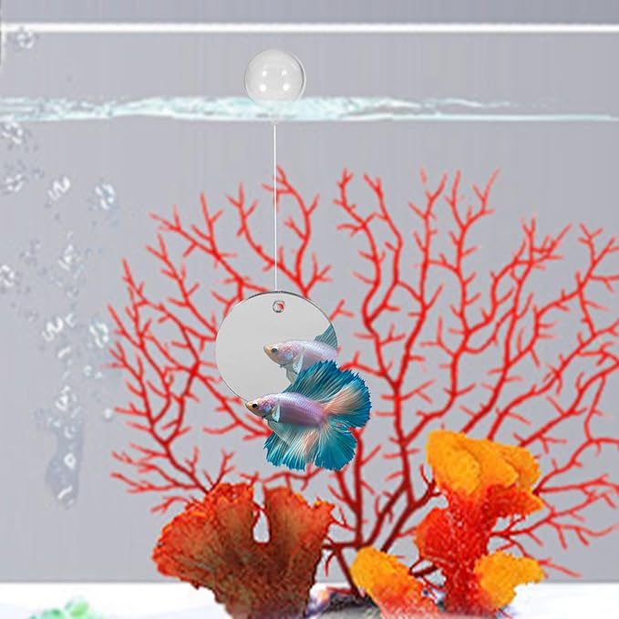 Beta Fish Aquariums Accessories, 1 Fish Mirror with Floating Ball & 2 Exercise Training Ring Toys, Fish Feeding Ring, Betta Fish Toys Set for Tank, Enrichment Toys for Fish