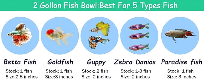 2 Gallon Glass Fish Tank,Sturdy Nicely Betta Fish Bowl,Small Aquariums for Small Ornamental Fish and Reptiles,High Transparency Glass Good View of Your pet,with Three Support Feet
