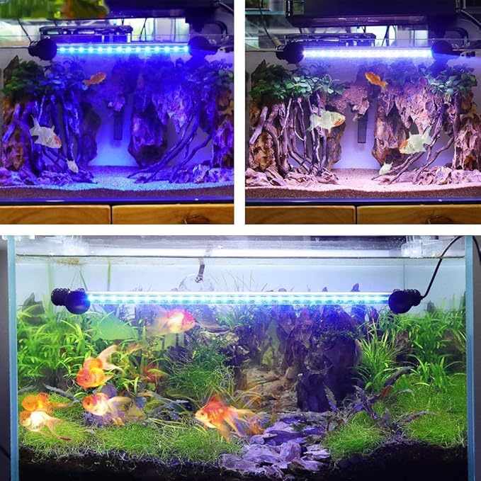 Aquarium Light for Fish Tank,Auto on/Off Submersible White and Blue Aquarium Plant Light with Timer and dimming Function (7.5 inch (Timer & Dimming Function)