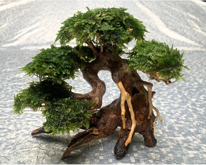 Bonsai Driftwood Aquarium Tree (8in H x 6in L), Handcrafted Fish Tank Decoration | Easy to Install Driftwood Bonsai for Fish Tank | Decor Aquascape Wood (Bonsai Tree)
