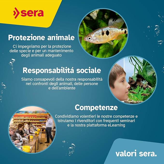 Sera Koi Professional Color Spring & Fall 500 g | Easily digestible koi Fish Food for Ponds | Premium Floating pellets with Vitamin C & Omega acids | Seasonal Fish Food for Freshwater Ponds