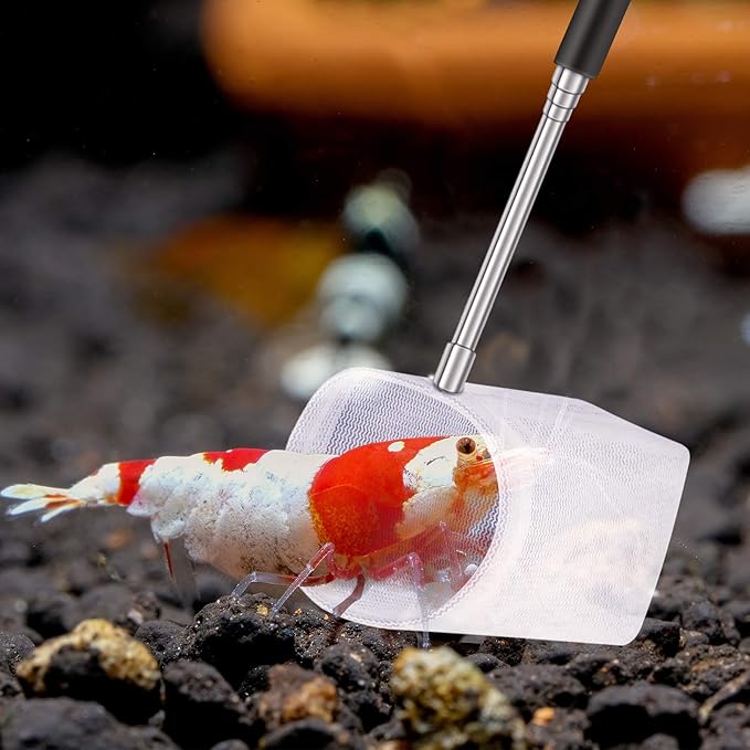 2 Pieces Fish Tank Shrimp Net Extendable Handle Shrimp, Aquarium Stainless Steel Small Fishing Net with Adjustable Handle for Pond