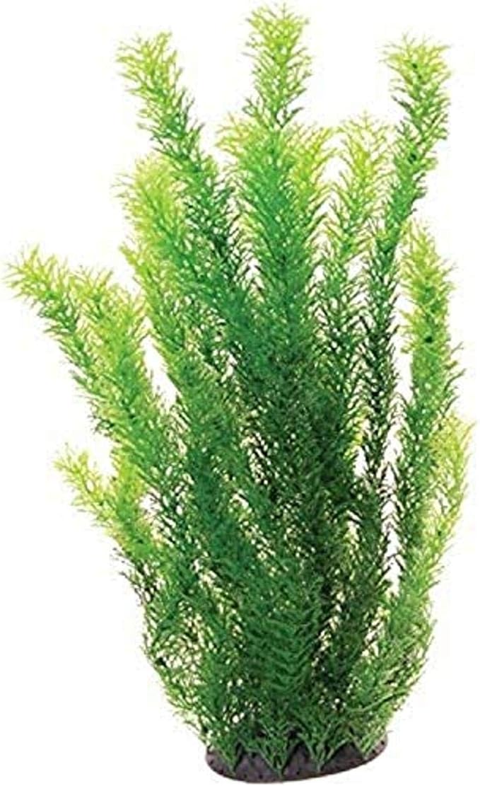 Underwater Treasures 20768 Cabomba, 20"