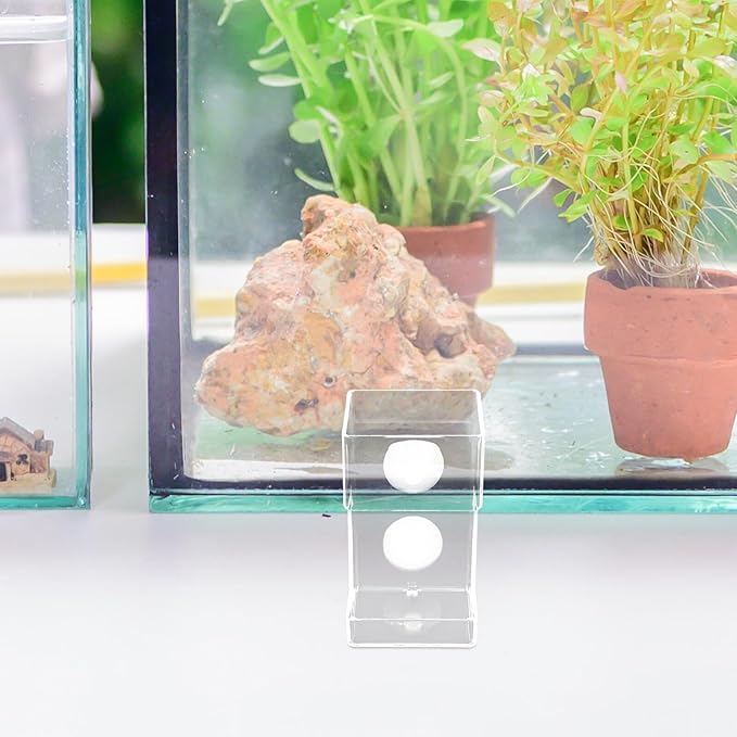 GALPADA Acrylic Aquarium Fish Tank Feeder Bowl with Suction Cup for Precise Worm Feeding, Automatic Stationary Fish Food Dispenser Suitable for Aquarium Use